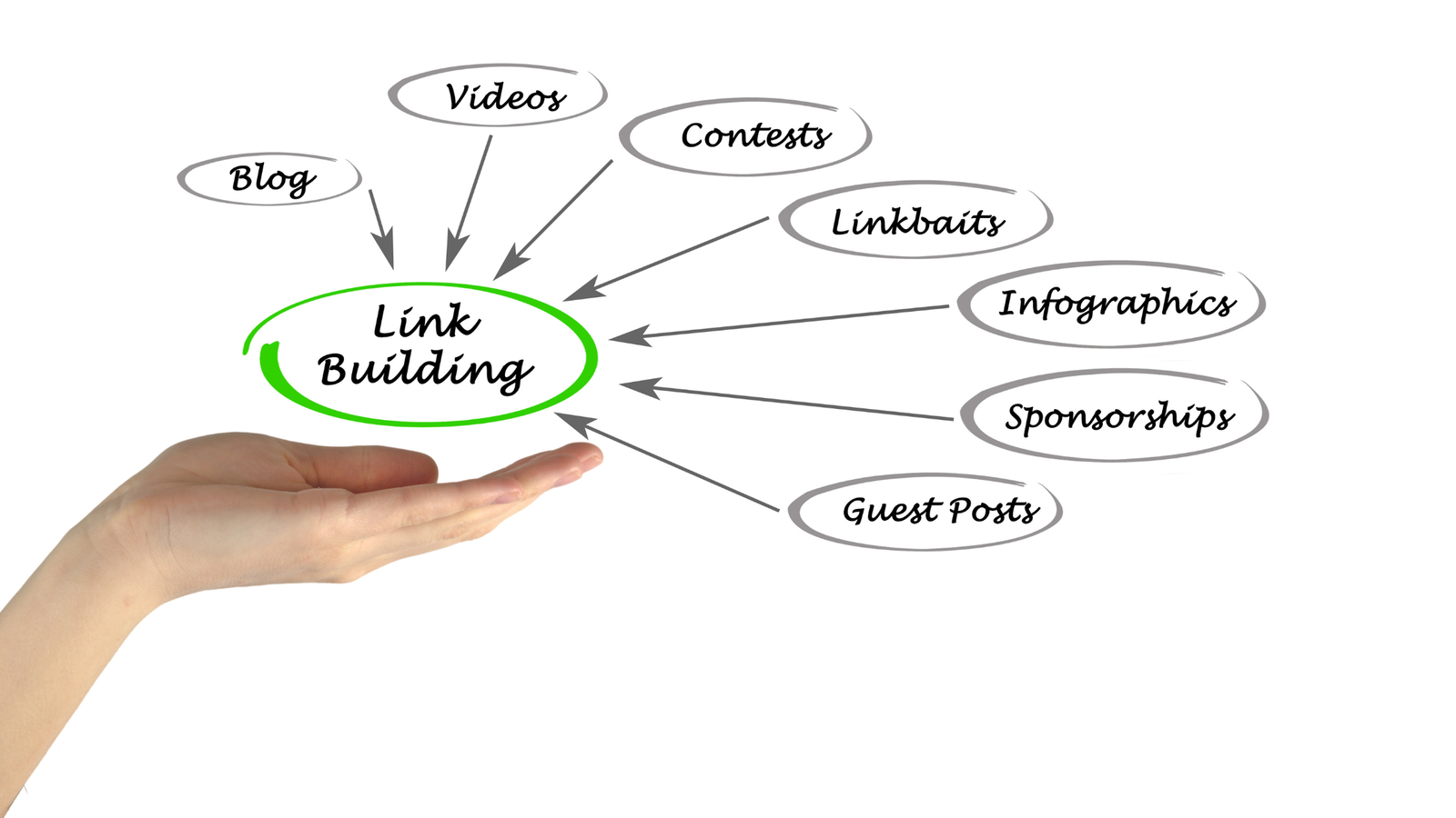 link building service