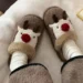 Cozy and Stylish Winter Slippers for Couples with Warm Plush Comfort Cozy and Stylish Winter Slippers for Couples with Warm Plush Comfort